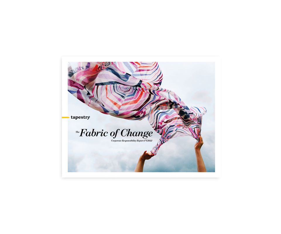 FY22 CR Report & Frameworks